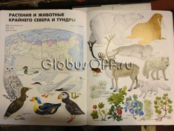 Атлас для детей. Мир и Человек, GlobusOff К20