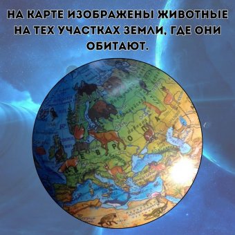 Глобус Земли зоологический с подсветкой от батареек d=25 см