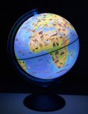 Глобус Зоологический с подсветкой от батареек d=21 см