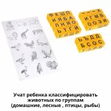 Умные кубики "В мире животных" для обучения чтению + Тренажер для обучения письму, русский язык Testplay