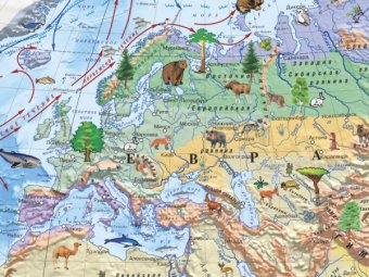 Детская. Животный и растительный мир Земли, арт. К1