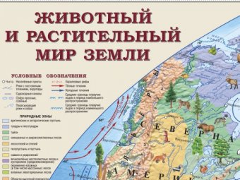 Детская. Животный и растительный мир Земли, арт. К1