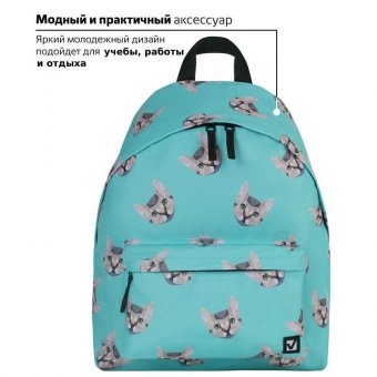 Рюкзак BRAUBERG универсальный, сити-формат, Cats, 20 литров, 41х32х14 см, 229881