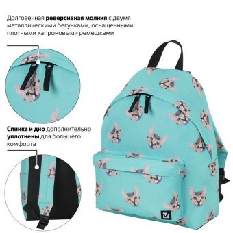 Рюкзак BRAUBERG универсальный, сити-формат, Cats, 20 литров, 41х32х14 см, 229881