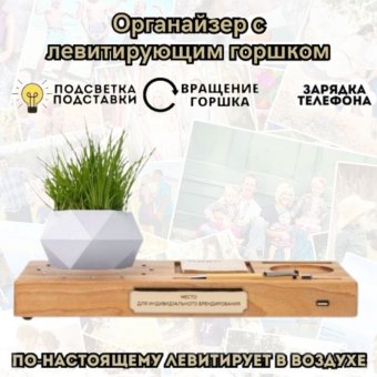 Горшок цветочный, для мелочи - органайзер с функцией зарядки телефона, GlobusOff