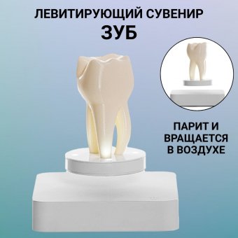 Левитирующий сувенир "Зуб" 9 х 4,5 см Globusoff