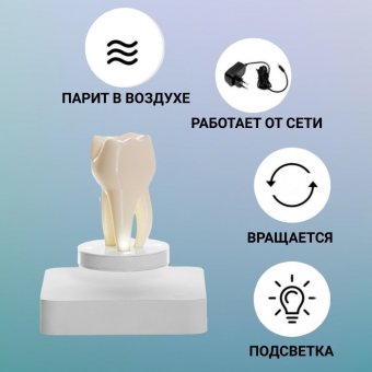 Левитирующий сувенир "Зуб" 9 х 4,5 см Globusoff