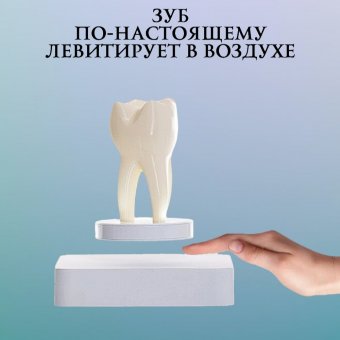 Левитирующий сувенир "Зуб" 9 х 4,5 см Globusoff