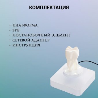 Левитирующий сувенир "Зуб" 9 х 4,5 см Globusoff