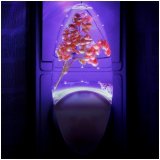 Светильник-ночник СТАРТ "Мимоза" NL 1LED, с датчиком освещенности