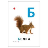 Карточки развивающие "Учим буквы", Литера, 19806