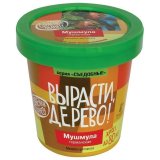 Набор для выращивания растений ВЫРАСТИ ДЕРЕВО! "Мушмула германская" (банка, грунт, семена), zk-083