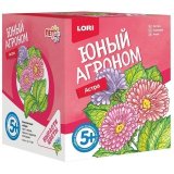 Набор для выращивания растений ЮНЫЙ АГРОНОМ "Астра", горшок, грунт, семена, LORI, Р-001