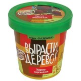 Набор для выращивания растений ВЫРАСТИ ДЕРЕВО! "Хурма виргинская" (банка, грунт, семена), zk-085