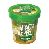 Набор для выращивания растений ВЫРАСТИ ДЕРЕВО! "Розмарин" (банка, грунт, семена), zk-036