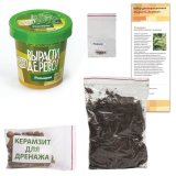Набор для выращивания растений ВЫРАСТИ ДЕРЕВО! "Розмарин" (банка, грунт, семена), zk-036