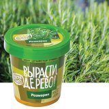 Набор для выращивания растений ВЫРАСТИ ДЕРЕВО! "Розмарин" (банка, грунт, семена), zk-036