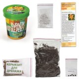 Набор для выращивания растений ВЫРАСТИ ДЕРЕВО! "Леопардовая лилия" (банка, грунт, семена), zk-054