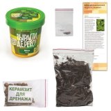 Набор для выращивания растений ВЫРАСТИ ДЕРЕВО! "Мята дикая" (банка, грунт, семена), zk-034