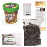 Набор для выращивания растений ВЫРАСТИ ДЕРЕВО! "Сумасшедшая роза" (банка, грунт, семена), zk-047
