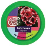 Набор для выращивания растений ВЫРАСТИ ДЕРЕВО! "Глоксиния гибридная" (банка, грунт, семена), zk-067