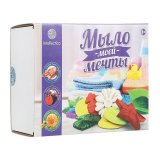 Набор для создания мыла "Мыло моей мечты", ФИОЛЕТОВЫЙ, малый, INTELLECTICO, 468