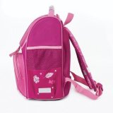 Ранец с эргономичной спинкой для девочек ПИФАГОР BASIC "OWL PRINCESS" 228809