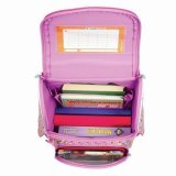 Ранец с анатомической спинкой для девочек TIGER FAMILY Nature Quest "Pink Amour" TGNQ-041A