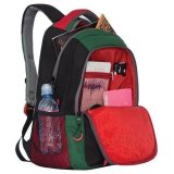Рюкзак GRIZZLY универсальный 31х42х22 см RU-922-3/1