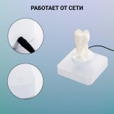 Левитирующий сувенир "Зуб" 9 х 4,5 см Globusoff