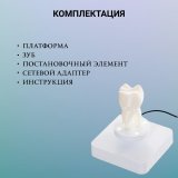 Левитирующий сувенир "Зуб" 9 х 4,5 см Globusoff