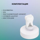 Левитирующий сувенир "Зуб" 8 х 4 см Globusoff