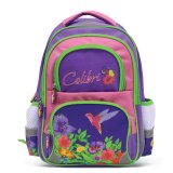 Школьный рюкзак "Colibri" с EVA спинкой для девочек младших классов BRAUBERG 223751