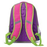 Школьный рюкзак "Colibri" с EVA спинкой для девочек младших классов BRAUBERG 223751