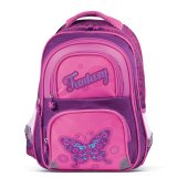 Школьный рюкзак "Fantasy" с EVA спинкой для девочек младших классов BRAUBERG 223750