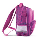 Школьный рюкзак "Fantasy" с EVA спинкой для девочек младших классов BRAUBERG 223750