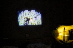 Домашний планетарий "Мир Космоса и Океана" проектор National Geographic