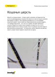 Набор микропрепаратов Levenhuk (Левенгук) N80 NG «Увидеть все!»